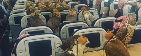 آنچه دیگران را متعجب کرده؛ شاهزاده سعودی و رزرو کل هواپیما برای انتقال ۸۰ پرنده