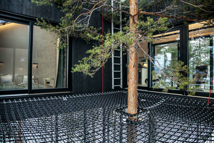 ساخت هتل درختی بسیار زیبا در یکی از بهترین جنگل های کشور سوئد