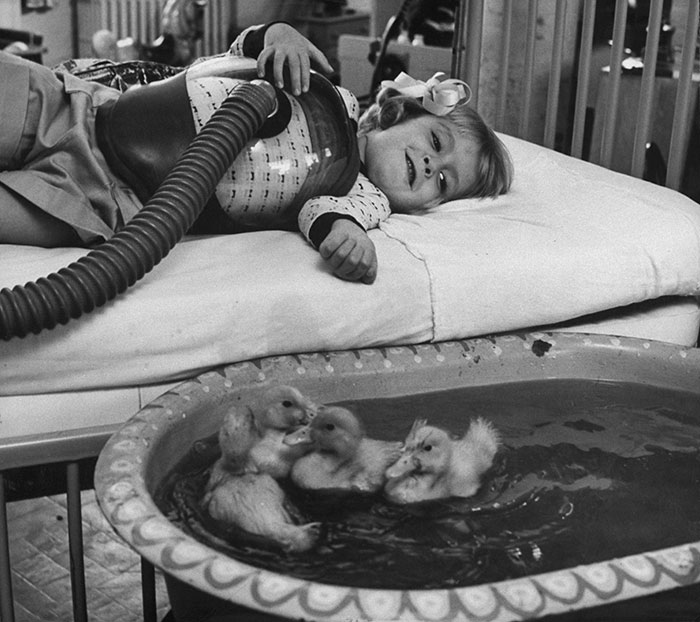 در بیمارستان ها برای سرگرم نمودن کودکانی که در آن جا بستری بودند از گزینه هایی همانند حوضچه ای مملو از اردک های زنده استفاده می کردند. 1956