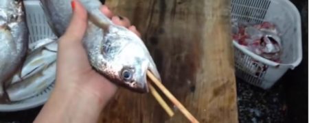 آموزش خالی کردن محتویات شکم ماهی با استفاده از دو سیخ چوبی [تماشا کنید]