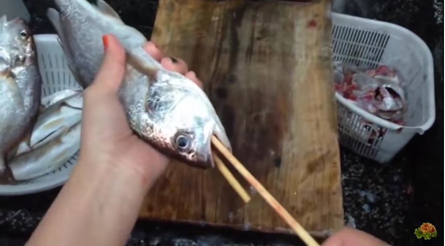 آموزش خالی کردن محتویات شکم ماهی با استفاده از دو سیخ چوبی [تماشا کنید]