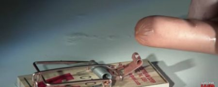 صحنه آهسته تقابل دیدنی هات داگ و تله موش [تماشا کنید]