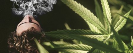 ماری جوآنا چه تاثیراتی روی مغز و بدن انسان دارد؟ [اینفوگرافیک]