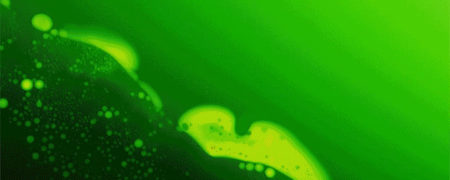 نمایش زیبایی ها و ویژگی های فصول مختلف سال توسط ویدیویی میکروسکوپی [تماشا کنید]