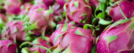 با «میوه اژدها»، خواص و نحوه خوردن آن آشنا شوید