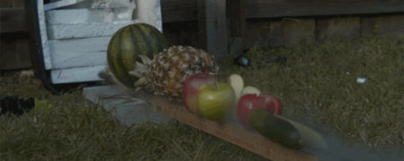 وقتی چاقویی متصل به یک موشک با سرعت ۲۴۰ کیلومتر بر ساعت مواد غذایی را برش می دهد [تماشا کنید]