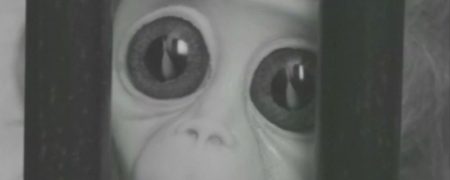 فیلم کوتاه؛ تلاش جالب و احساسی یک میمون آزمایشگاهی برای سفر به فضا [تماشا کنید]