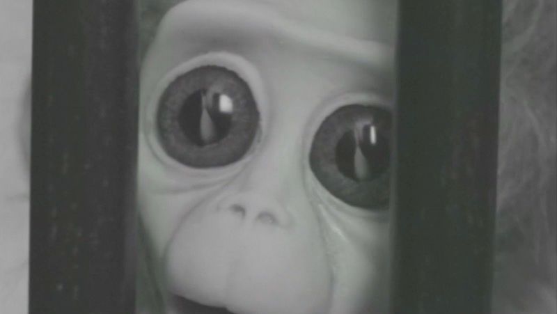 فیلم کوتاه؛ تلاش جالب و احساسی یک میمون آزمایشگاهی برای سفر به فضا [تماشا کنید]