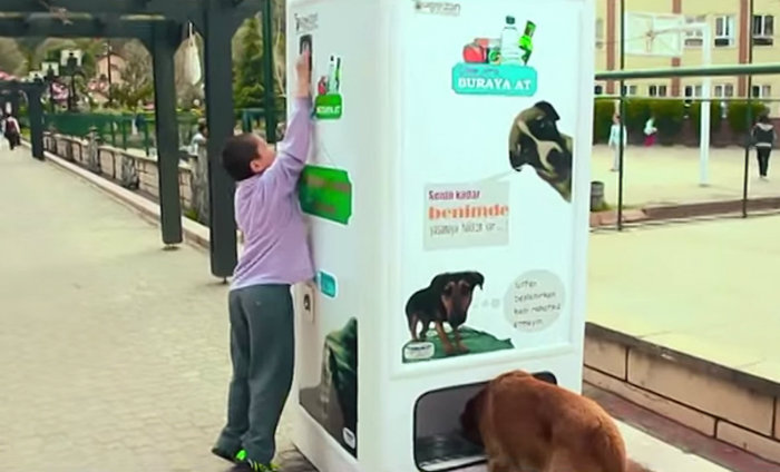 stray-dog-food-vending-machine-recycling-pugedon-4-w700