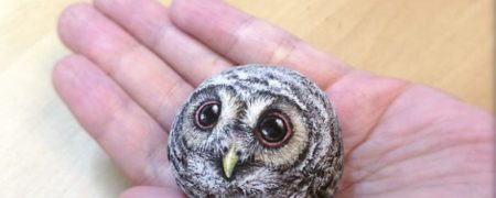 نگاهی به نقاشی های بسیار زیبا روی قلوه سنگ های رودخانه ای