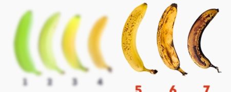 ۱۰ فایده شگفت انگیز موز که احتمالا از آنها مطلع نیستید