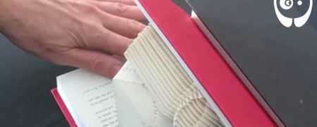 هنرمندی که ورقه های کتاب را به مجسمه هایی زیبا و دیدنی تبدیل می کند [تماشا کنید]