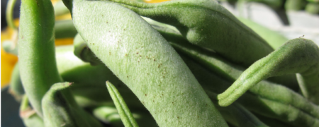 خوراکی هایی که هر اندازه از آنها میل کنید، بازهم وزن اضافه نخواهید کرد