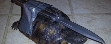 منتخبی از تصاویر شوخی های جالب و خنده دار زن و شوهرها با هم