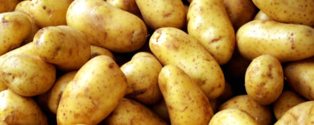 ۱۰ خوراکی رایج در جهان که مصرف اشتباه آنها منجر به مرگ خواهد شد