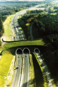 bridges-for-animals-around-the-world-40-58a568be69c64-jpeg__880-w900-h600