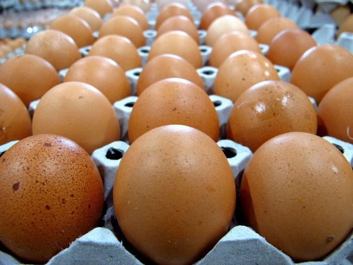 however-she-prefers-brown-eggs-w700