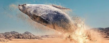 نگاهی به آثار هنرمندی که با ترکیبات جادوئی خود رویا را به واقعیت بدل می کند