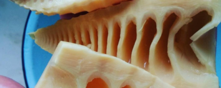 تصاویری از عجیب ترین غذاها و میوه هایی که تا به حال دیده اید