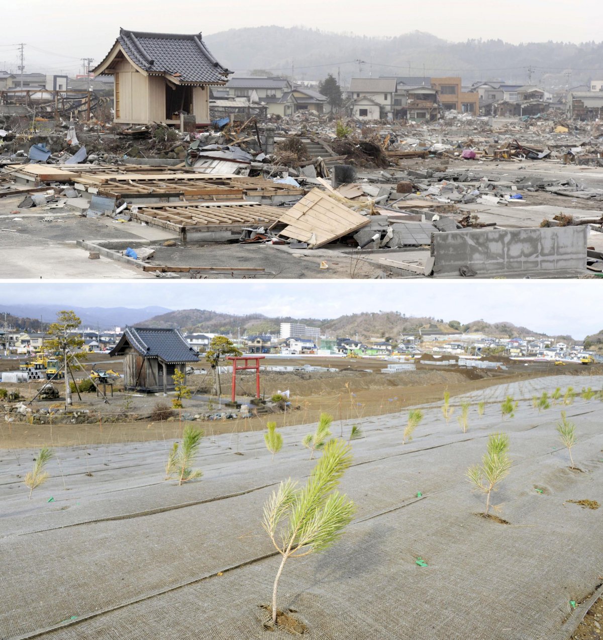 در سال 2013، نیروگاه برق توکیو گزارش کرد که روزانه حدود 300 تن آب آلوده به رادیوکتیو به اقیانوس آرام نشت می کند. 