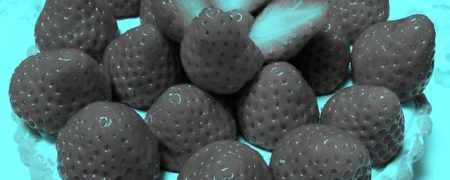 عکسی چالش بر انگیز؛ توت فرنگی هایی که قرمز نیستند ولی قرمز دیده می شوند