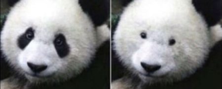 مشکلاتی که فقط عینکی ها می توانند آن ها را درک کنند