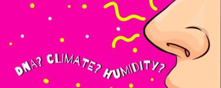 ژنتیک تنها عامل شکل گیری فرم بینی افراد نیست