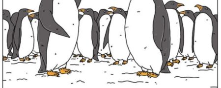 طنز به زبان تصویر؛ اگر حیوانات می توانستند حرف بزنند