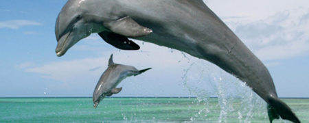 سفر به قشم: گشت و گذاری در بزرگترین جزیره ایران [قسمت دوم]