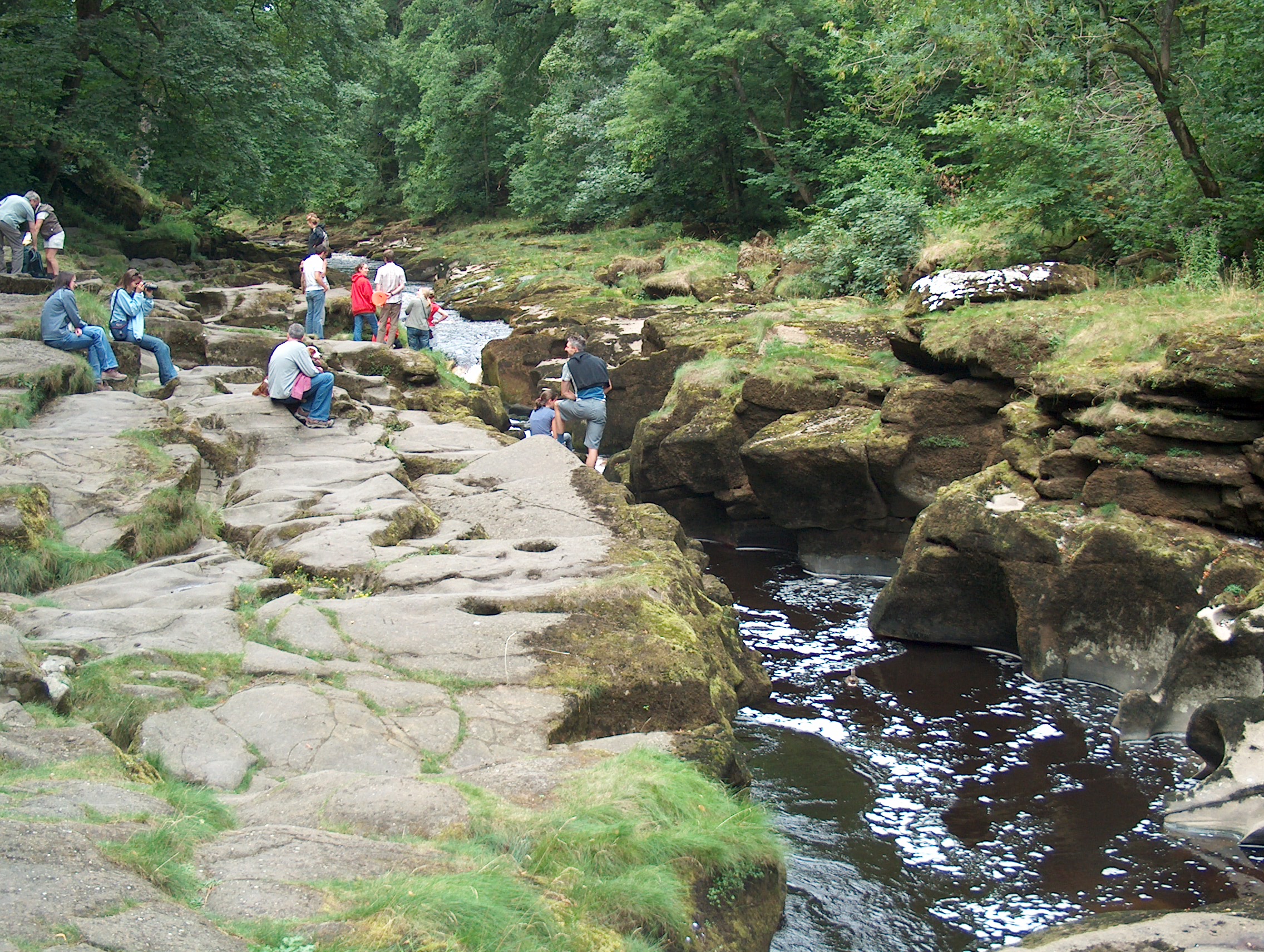 The_Strid_in_summer_-_geograph.org.uk_-_1733260