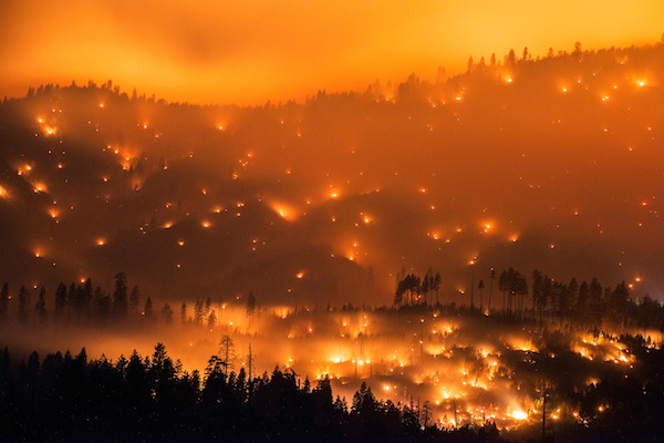 روایت ۱۰ عکس خیره کننده که وحشتناک ترین آتش سوزی ها در سراسر جهان را به تصویر می کشند