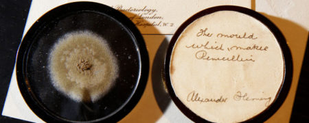 یک توده کپک متعلق به ۹۰ سال پیش با قیمت ۵۶ میلیون تومان فروخته شد