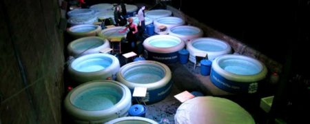 با ۹ نمونه از عجیب ترین و خلاقانه ترین سالن های سینما در سراسر دنیا آشنا شوید