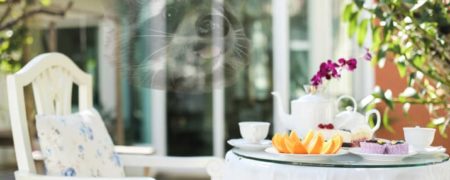 چالش: آیا می توانید روح حیوانات موجود در تصاویر زیر را تشخیص دهید؟