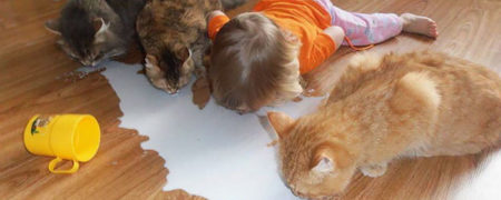 ۲۰ تصویری که ثابت می کنند نباید کودکان خود را با حیوانات خانگی تنها بگذارید