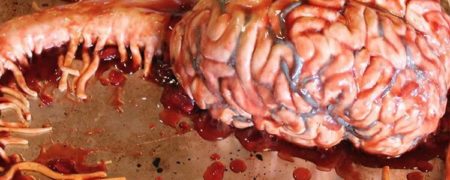 وقتی یک پرستار سنگدل، به تزئین کیک روی می آورد