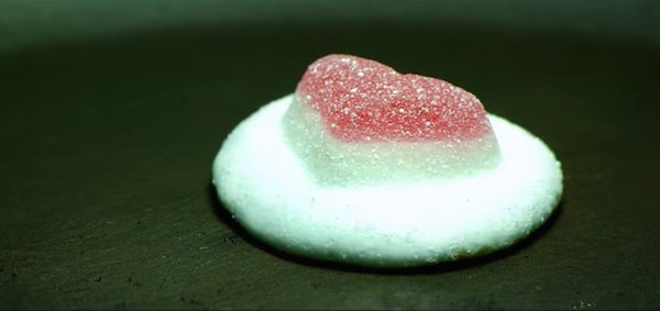 ویدیویی صحنه آهسته و جذاب از ذوب شدن شیرینی ها که با آهنگی دلنشین ترکیب شده است [تماشا کنید]