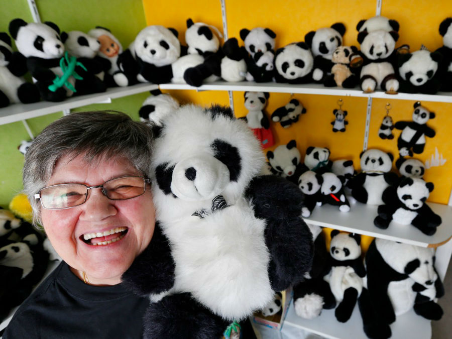 «سلین کورنت» از کشور بلژیک به پاندا علاقه زیادی دارد و به موجب ایت علاقه، 2200 عروسک از این حیوان را جمع کرده.
