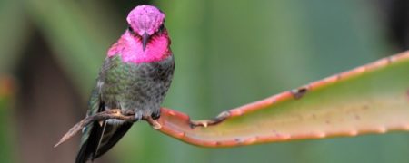 ۲۵ حقیقت حیرت آور که دیدگاه شما را نسبت به دنیا تغییر می دهند