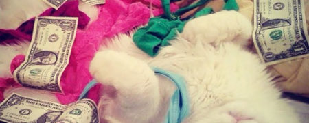 وقتی که حیوانات خانگی بازیچه دست دوستان و آشنایان صاحبشان می شوند