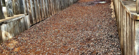 کوچه ای مملو از درب بطری؛ مکان عجیبی که دیدنش هر کسی را شگفت زده می کند