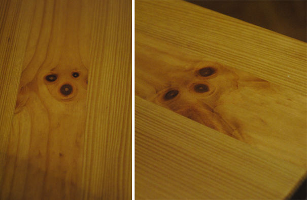 تصویر سگ روی طرح چوب