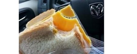 نگاهی به تصاویر اشتباهات خنده داری که زوج ها انجام داده اند