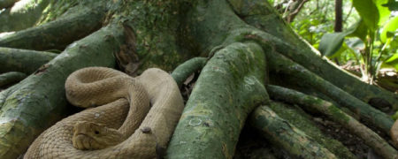 با خطرناک ترین و دلهره آور ترین نقاط توریستی جهان آشنا شوید