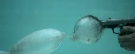 ویدیویی صحنه آهسته و جذاب که فرایند شلیک گلوله زیر آب را با سرعت ۲۷ هزار فریم بر ثانیه نشان می دهد [تماشا کنید]