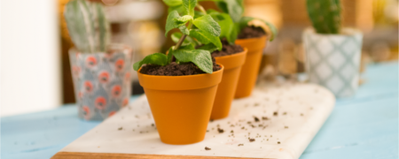 خوشمزه روز: موس شکلاتی به شکل گلدان [تماشا کنید]