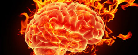 ۲۱ حقیقت جالب و باورنکردنی در مورد مغز انسان که شما را شگفت زده می کنند