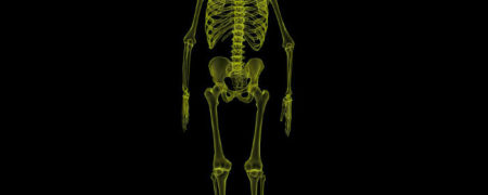 ۱۰ واقعیت جالب و شگفت انگیز در مورد اسکلت بندی بدن انسان