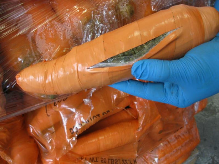 از سبزیجات غیر واقعی تا کوسه های یخ زده؛ با روش های خلاقانه قاچاقچیان برای جا به جایی مواد مخدر آشنا شوید