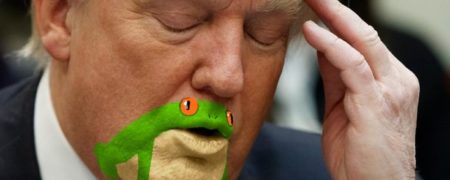 وقتی کاربران توئیتر دهان دونالد ترامپ را به قورباغه سبز درختی تشبیه می کنند
